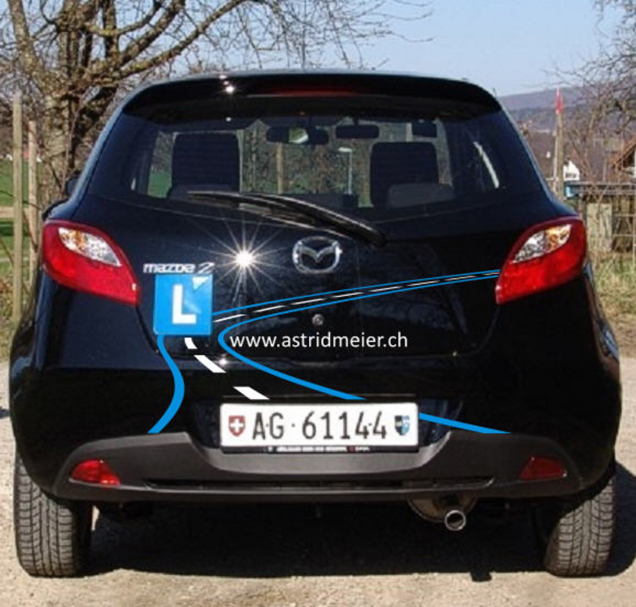 D'FAHRSCHUEL ASTRID MEIER