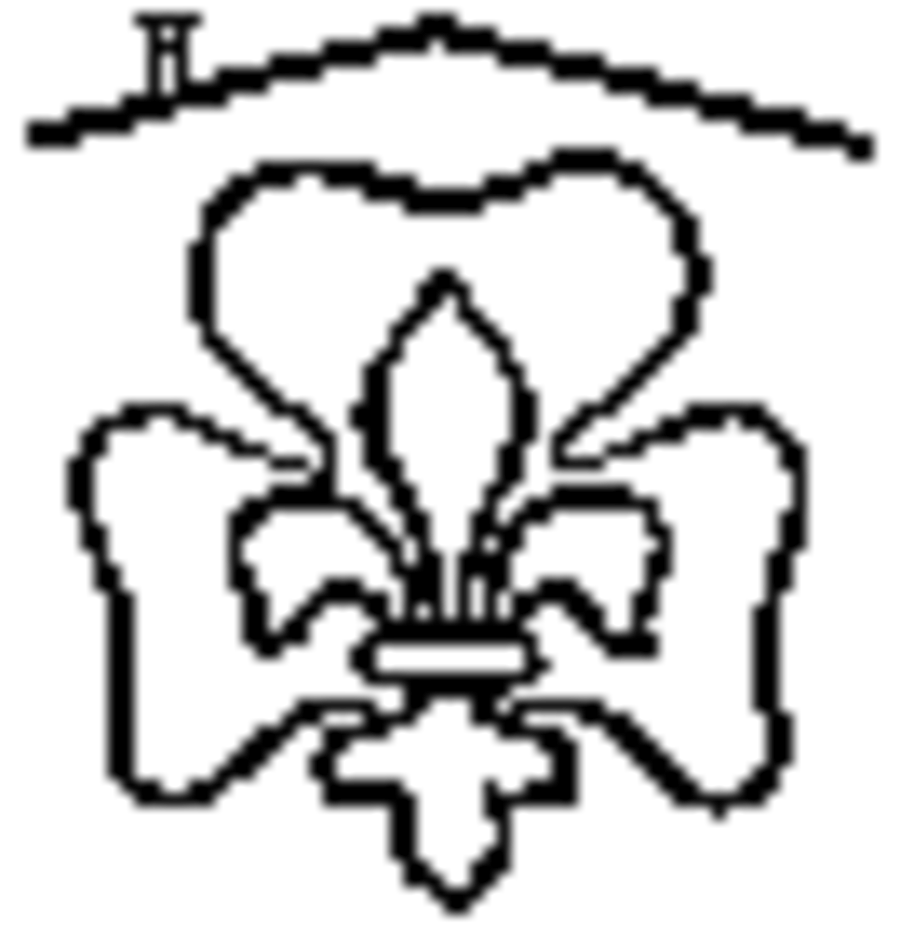 Heimverein Pfadi Rohrdorferberg